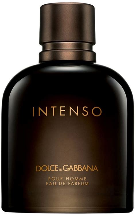 intend by dolce gabbana